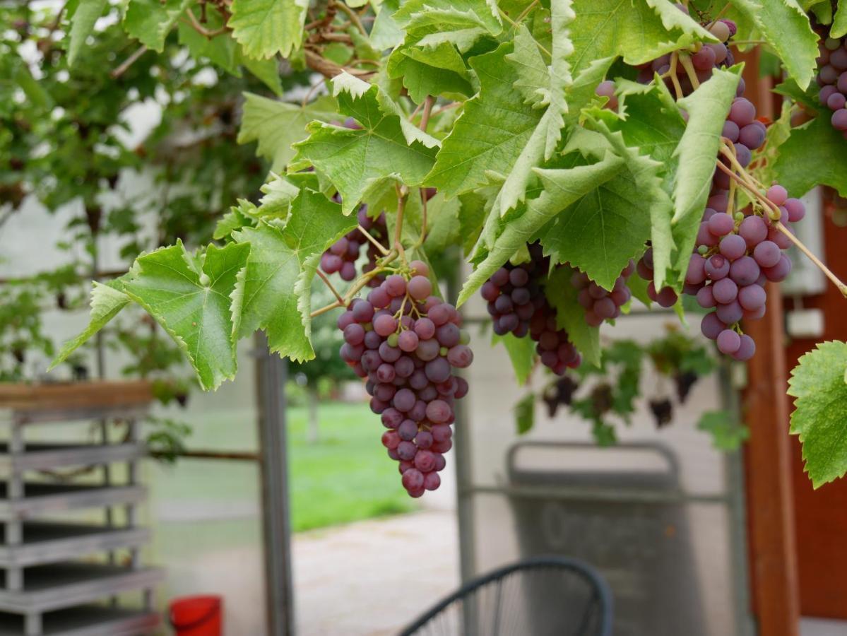 Narebo Gardshotell Lidkoping Ngoại thất bức ảnh