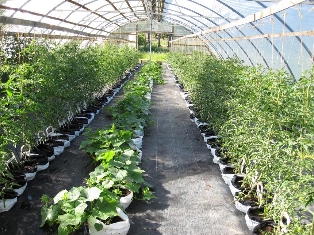 Narebo Gardshotell Lidkoping Ngoại thất bức ảnh